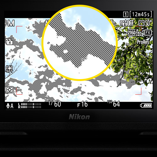 Nikon Z 8 Nikon USA