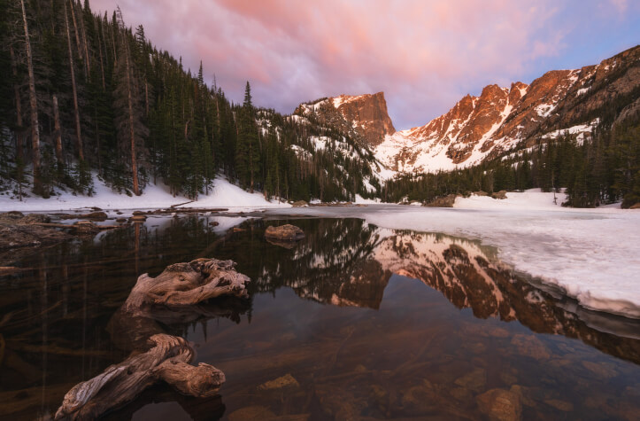 A wall of tall pine trees and snow-covered mountains in the distance are reflected off the lake in the foreground.
