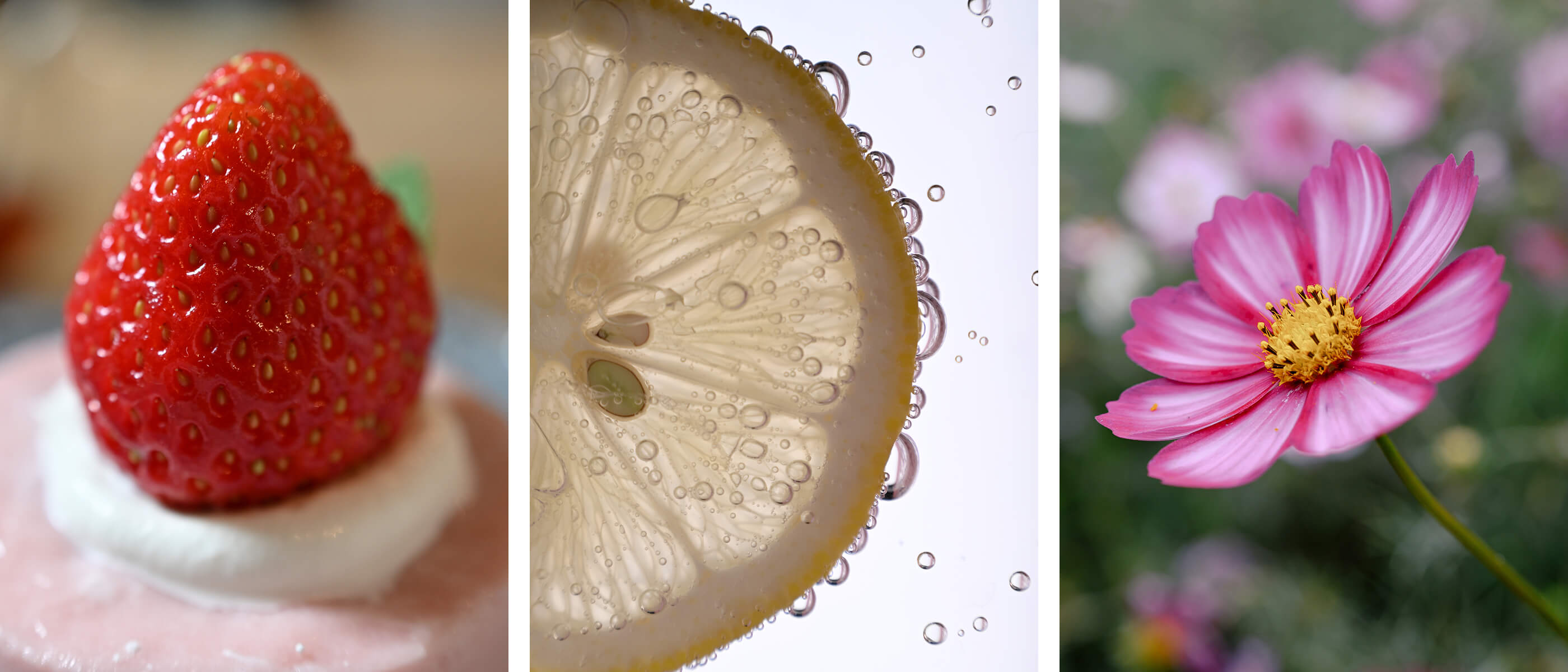 Nikon Z5II入門套裝鏡頭實測 24-105mm F4-7.1性價比取勝