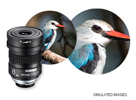 Nikon SEP-20-60 Zoom Eyepiece for PROSTAFF | Fieldscopes | Nikon