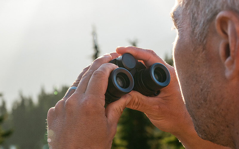 Nikon STABILIZED 12x25 S | Binoculars | Nikon USA