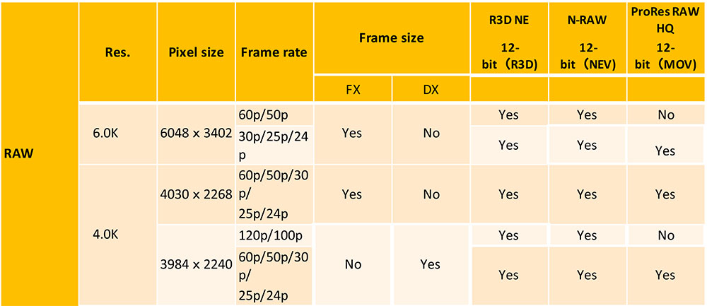 Codecs/resolutions for RAW files - ZR camera