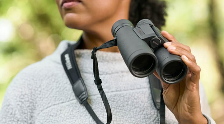 binoculars-in-hand.low.jpg