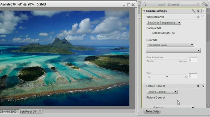 CaptureNX2-tutorial-6-optional-picture-control-representative.low.jpg