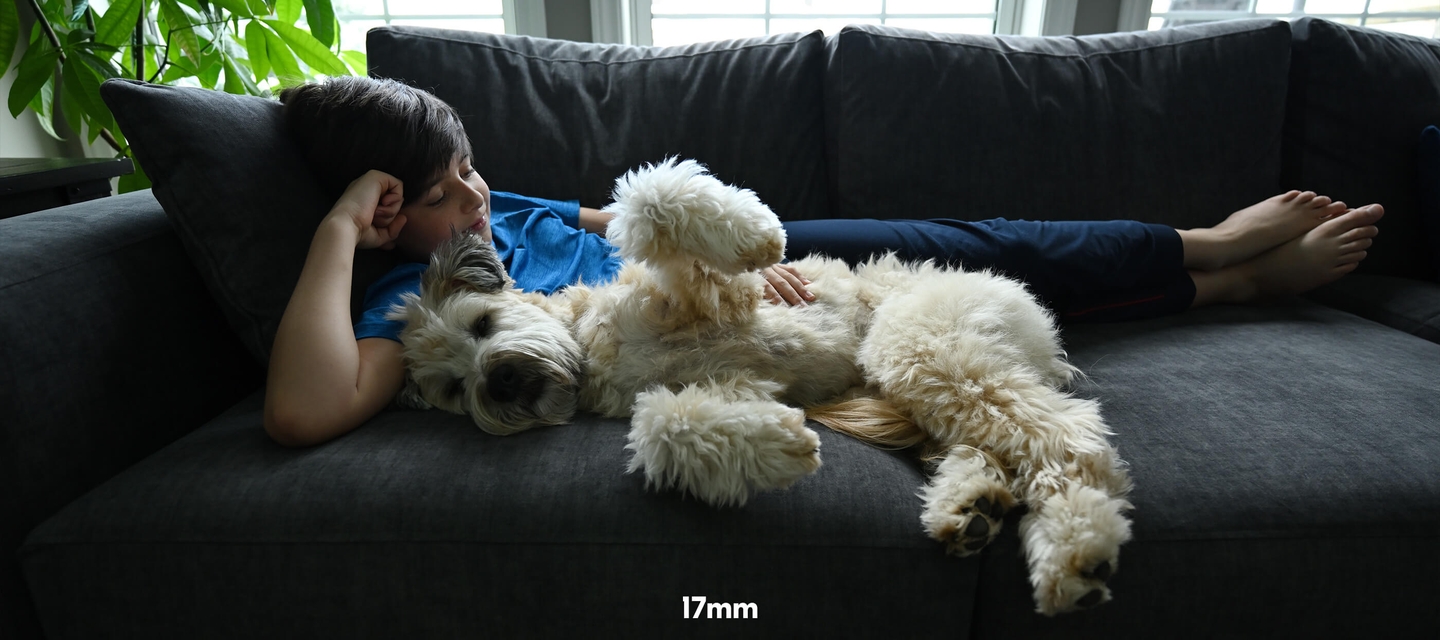 photo of a boy and his dog sleeping on a couch, taken with the NIKKOR Z 17-28mm f/2.8 lens at 17mm