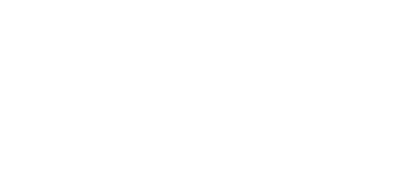 Nikon Zf