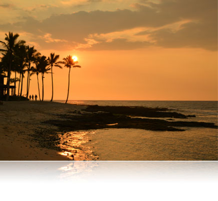 Nikon AF Zoom-NIKKOR 24-85mm f/2.8-4D IF | | Nikon USA