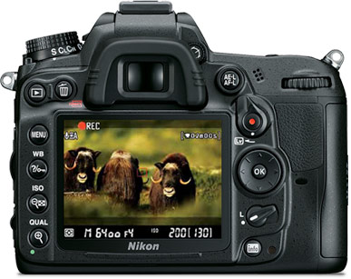 Nikon D7000 | DSLR Cameras | Nikon USA