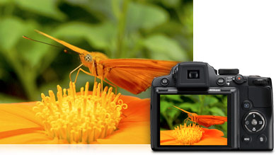 Nikon COOLPIX P500 Camera