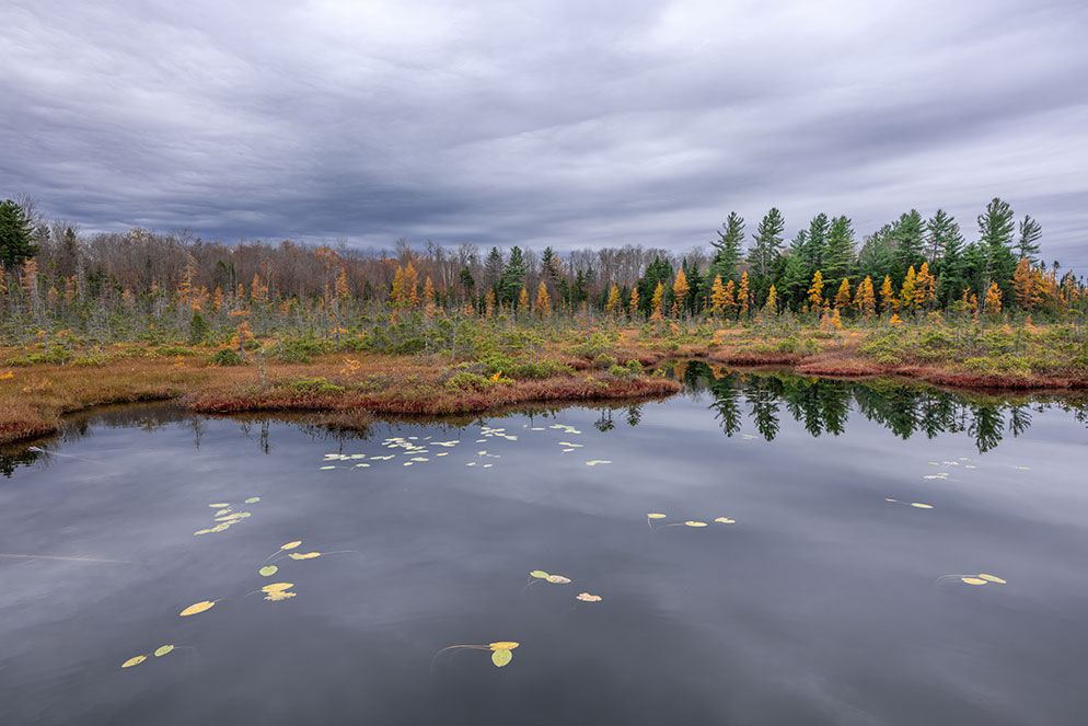 Charlie-Reinertsen-Z8-Spring-fed-pond-7.jpg