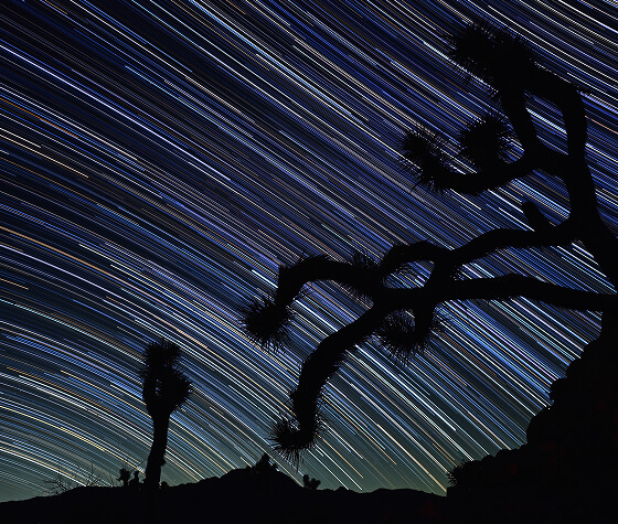 Star trail photograph with silhouetted mountains and cacti in the foreground.