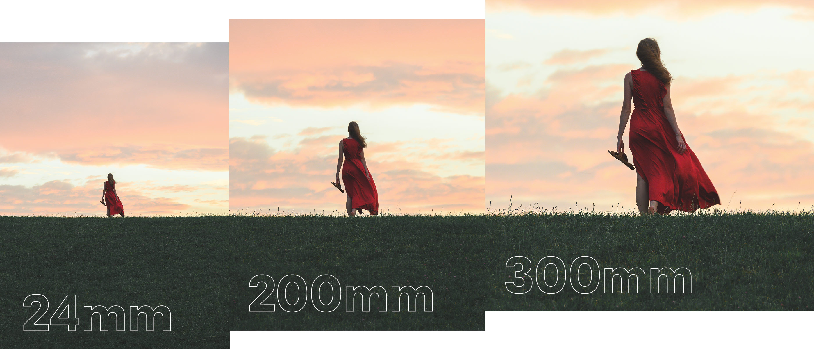 NIKKOR Z24-200mm 保証書 NIKKOR Z24-200mm 保証書