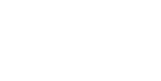 Z8 logo