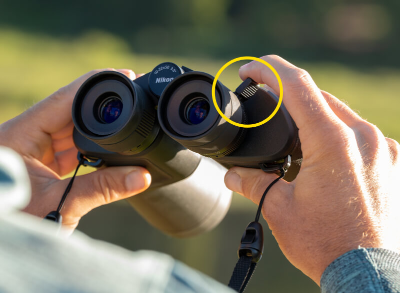 Nikon ACTION ZOOM 10-22x50 | Binoculars | Nikon USA