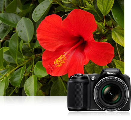 Nikon COOLPIX L340 デジタルカメラ Amazon.com : Nikon Coolpix L340 20.2 MP Digital Camera with