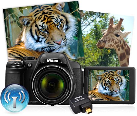 Nikon COOLPIX P520 Black | Point & Shoot Cameras | Nikon USA