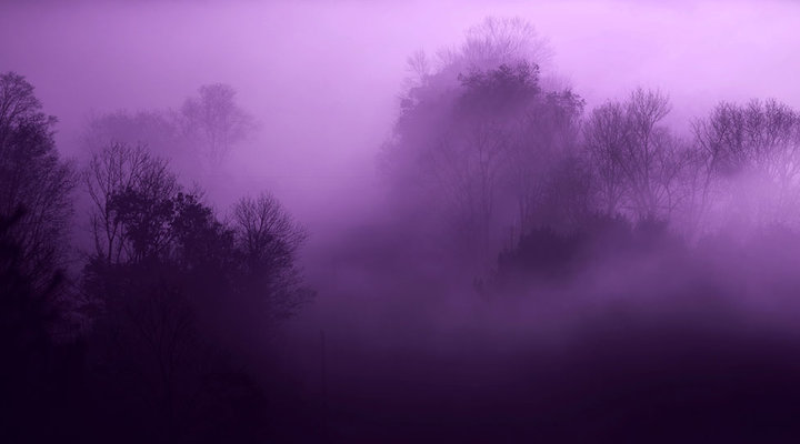 Mike-Corrado-fog-landscape-Purple-Haze.low.jpg
