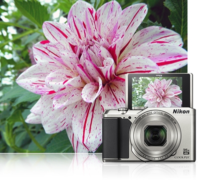 Nikon COOLPIX A900 シルバー Amazon.com : Nikon COOLPIX A900 Digital Camera (Silver