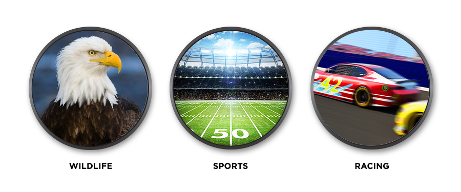 Nikon Sportstar Zoom 8-24x25 Black | Binoculars | Nikon