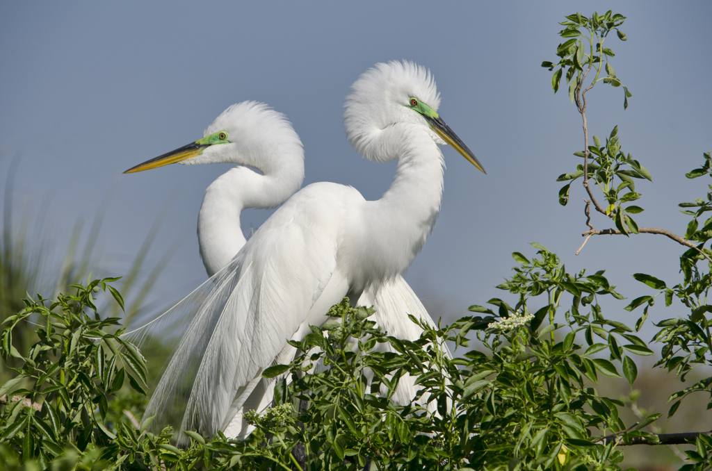 Nikon AF-S DX NIKKOR 18-300mm f/3.5-5.6G ED VR | DSLR Lenses