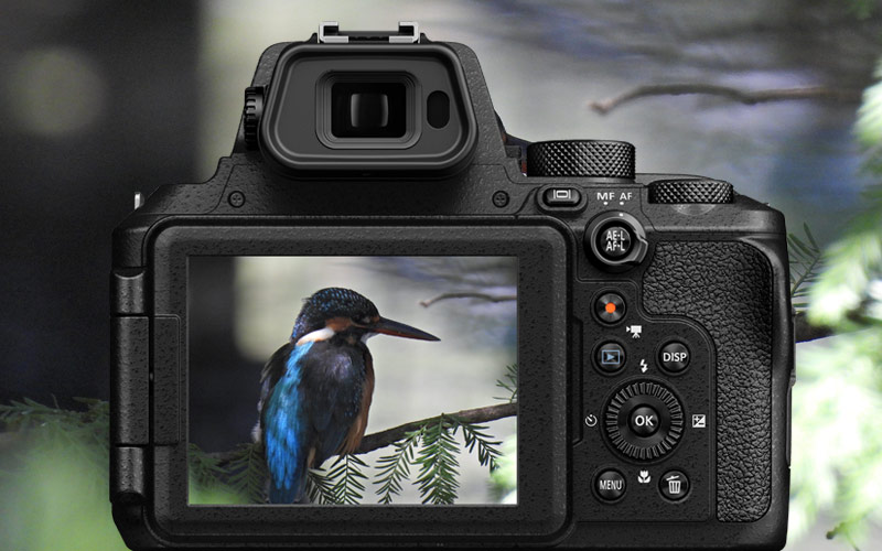 Amazon.com : Nikon VQA100EA COOLPIX P950, Black : Electronics