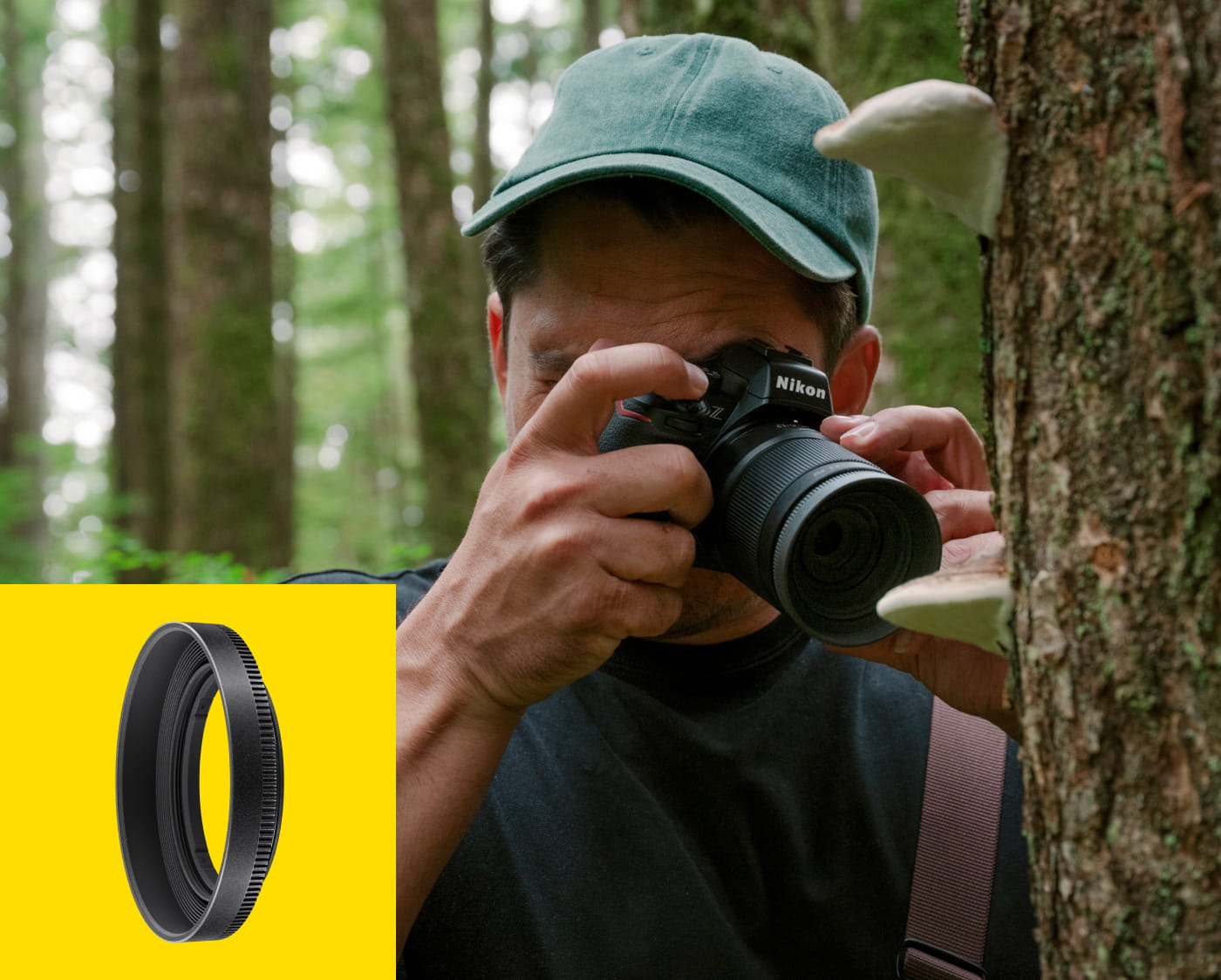 photo of a man shooting a tree with the NIKKOR Z DX MC 35mm f/1.7 lens and inset photo of the HN-43 lens hood