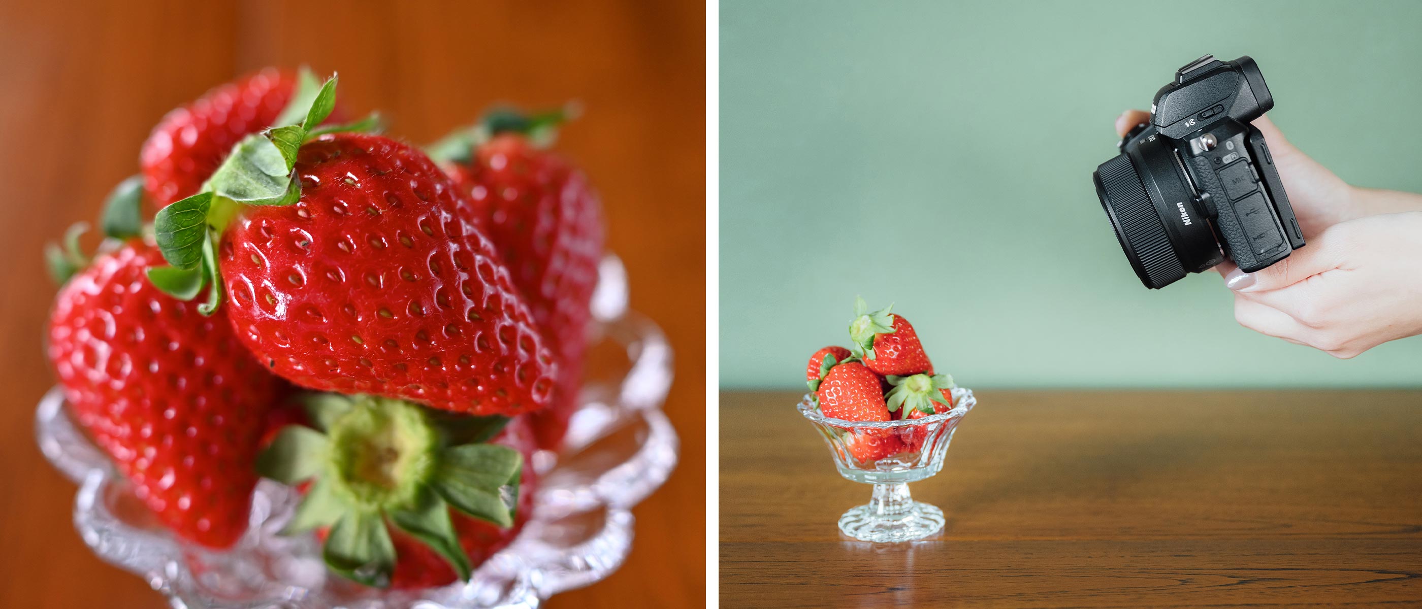 Nikon D7000+ AF MICRO 60mm+ SB-29s 歯科技工 Nikon D7000+ AF MICRO 60mm+ SB-29s Dental Technique Camera