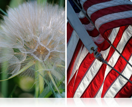 ATCQ様❤専用出品❤Nikon 55-300mm f/4.5-5.6G ED❤ Nikon 55-300mm f/4.5-5.6G ED AF-S DX NIKKOR VR Lens - Nikon USA