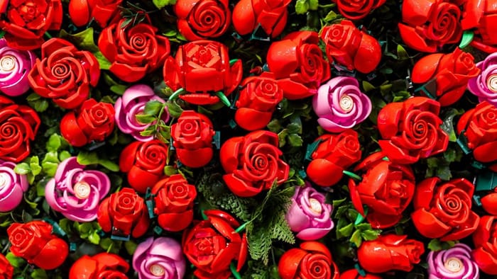 what-is-lego1-botanicals.jpg