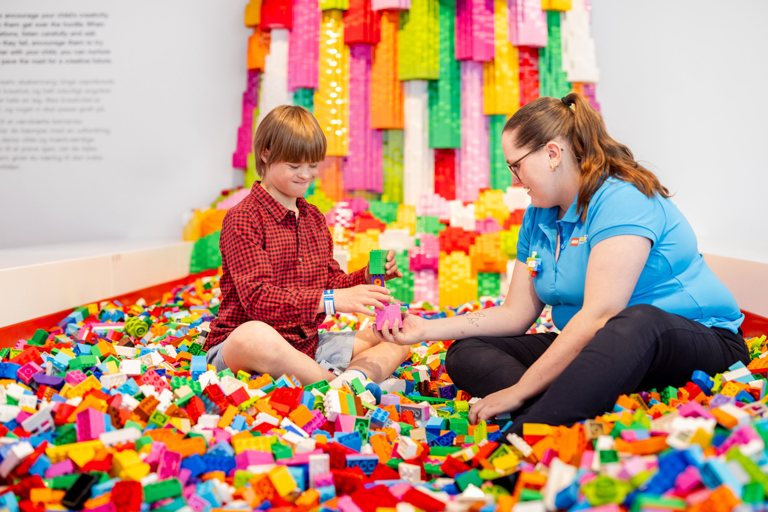© LEGO® House, Duplo Brick Builder.jpg