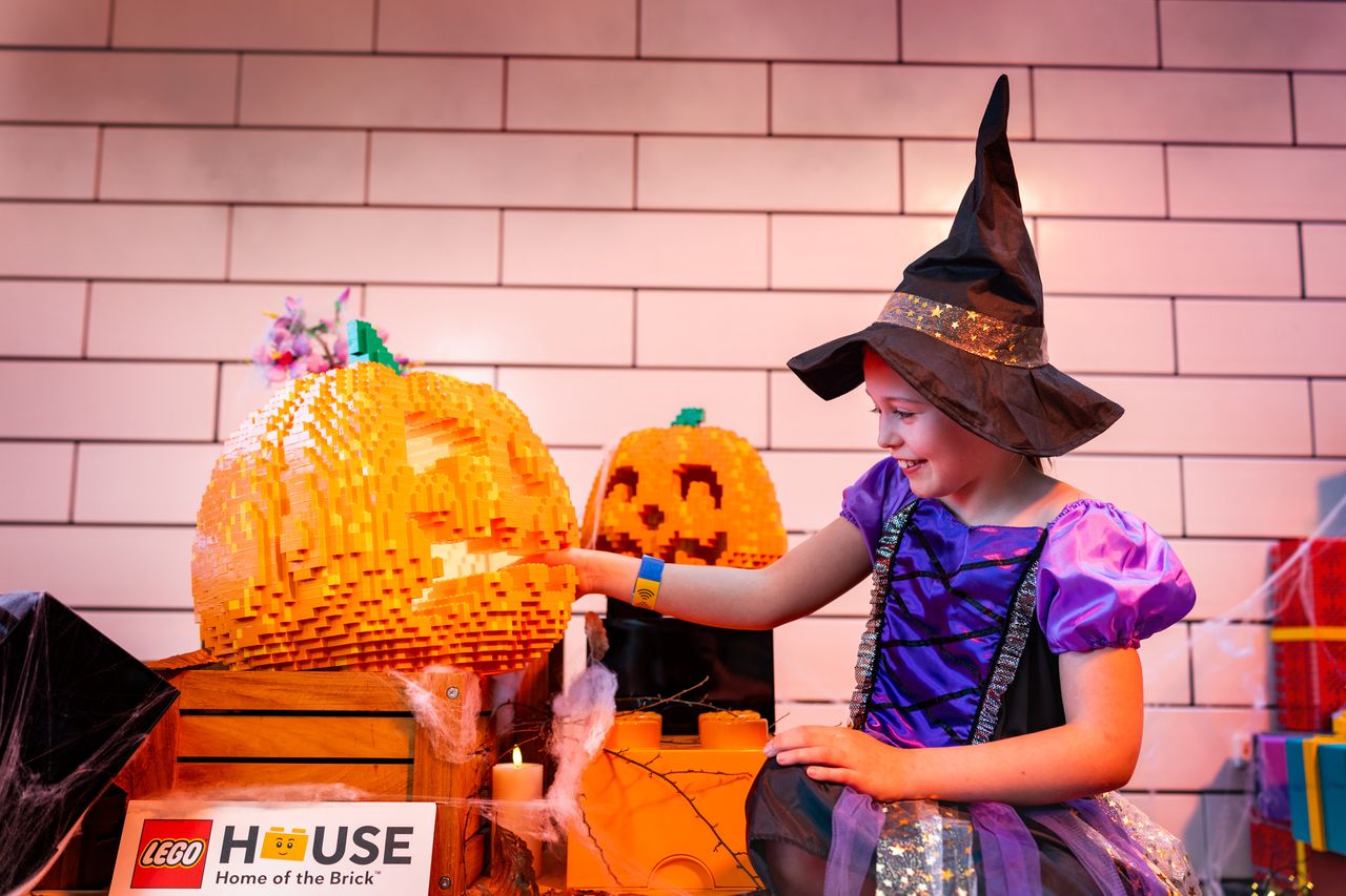 legohouse_6405.jpg