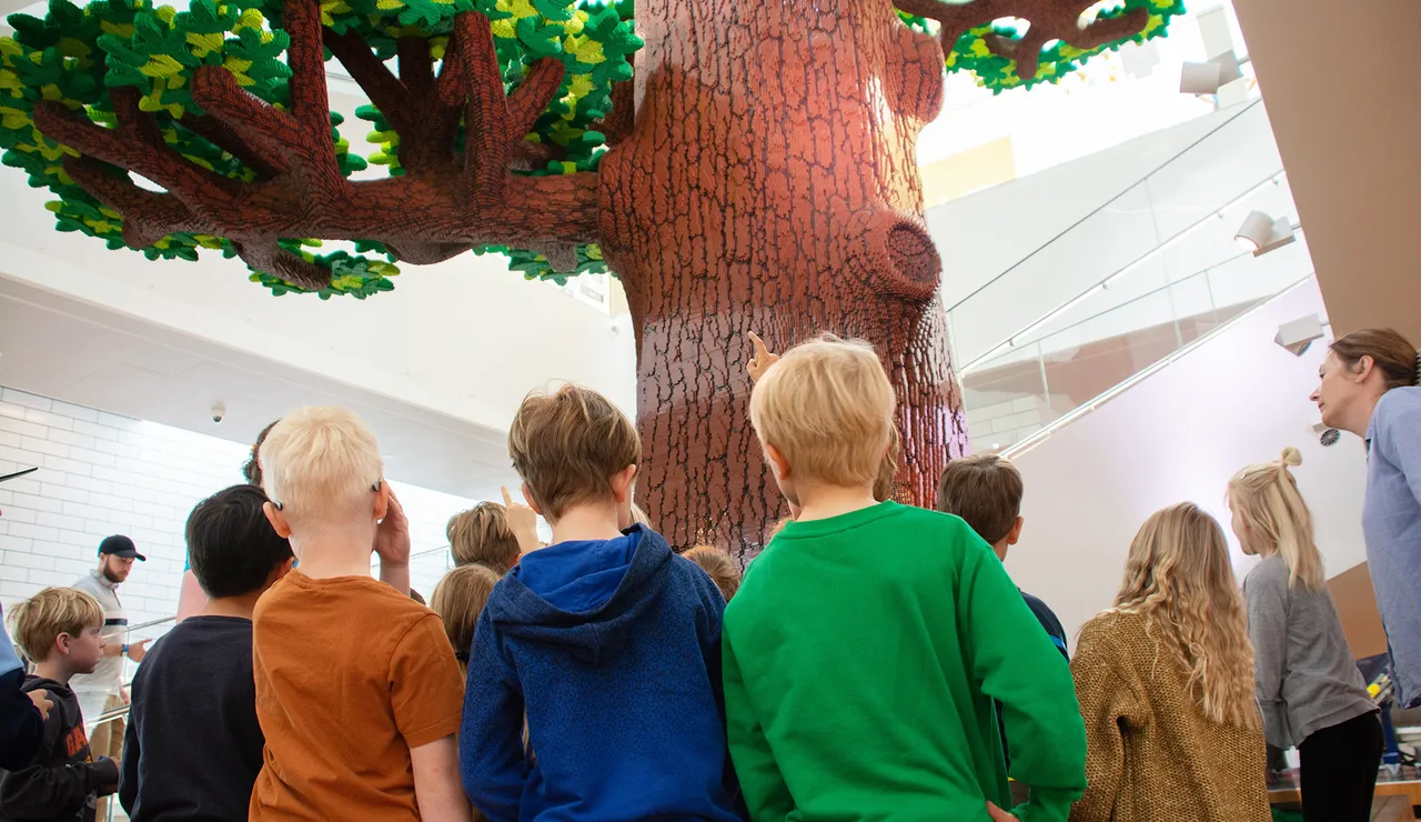 bafdfj54_skoleprogram-lego-undervisning.jpg