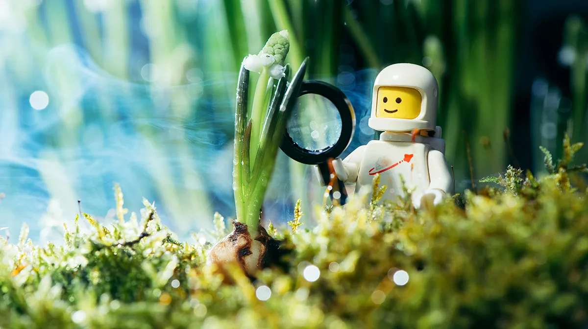 lego-fan-fotoudstilling