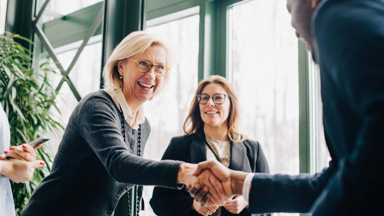 Business colleagues greeting each other