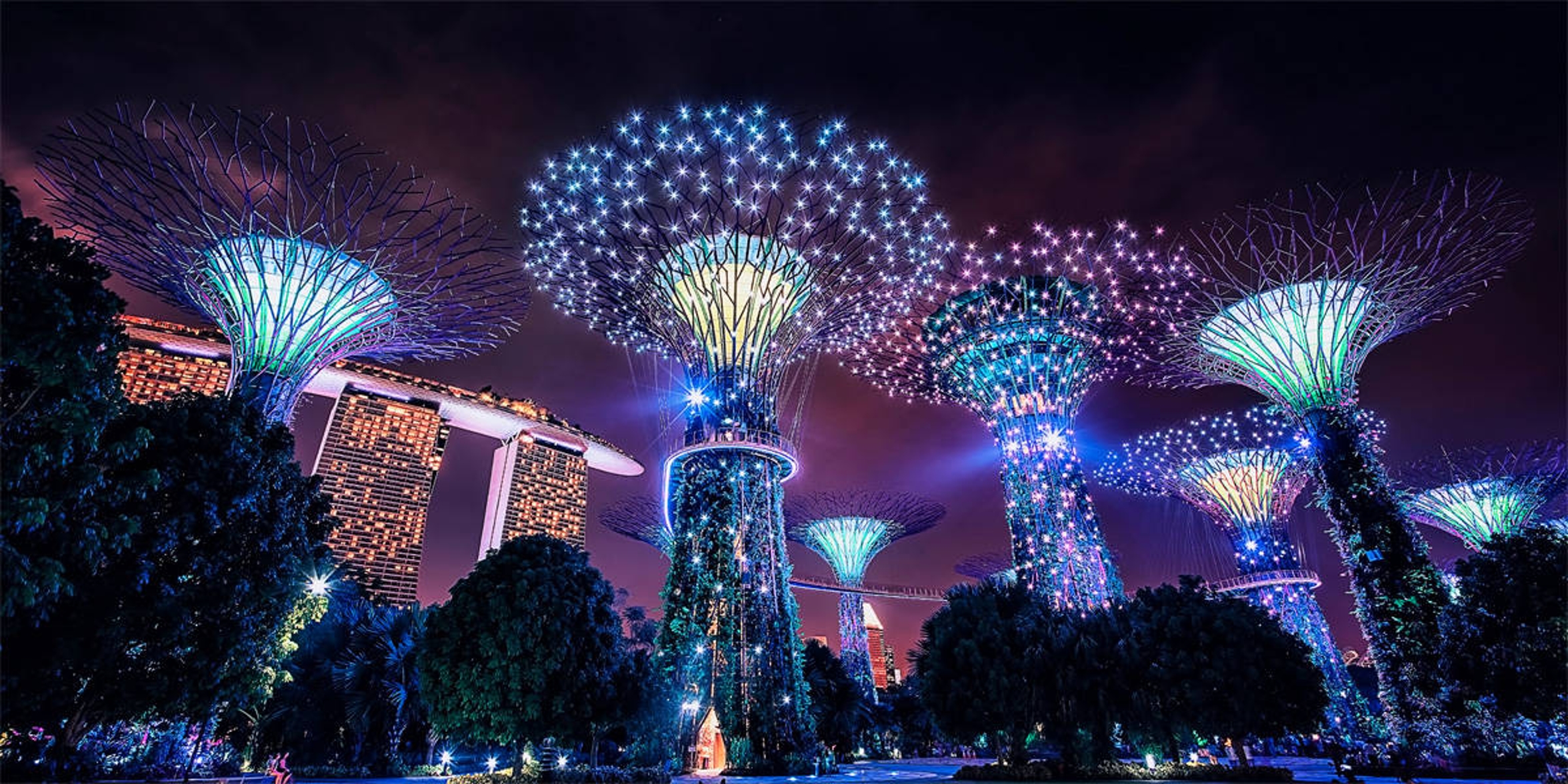 6 Facts About the Supertree Grove, Singapore’s Forest of the Future