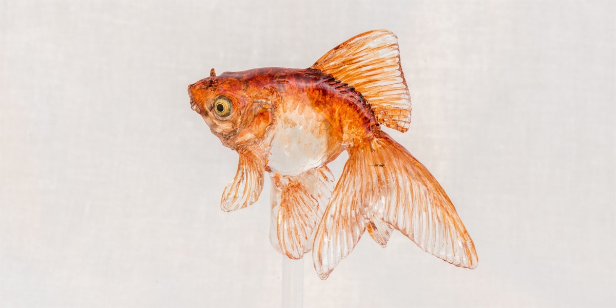 Amezaiku, the Japanese Candy Art That’s Making a Sweet Comeback