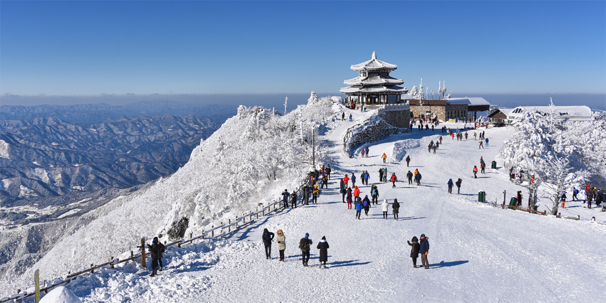 Your Cool AF Checklist For Winter In South Korea