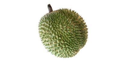 Where Do Black Thorn Durians Come From