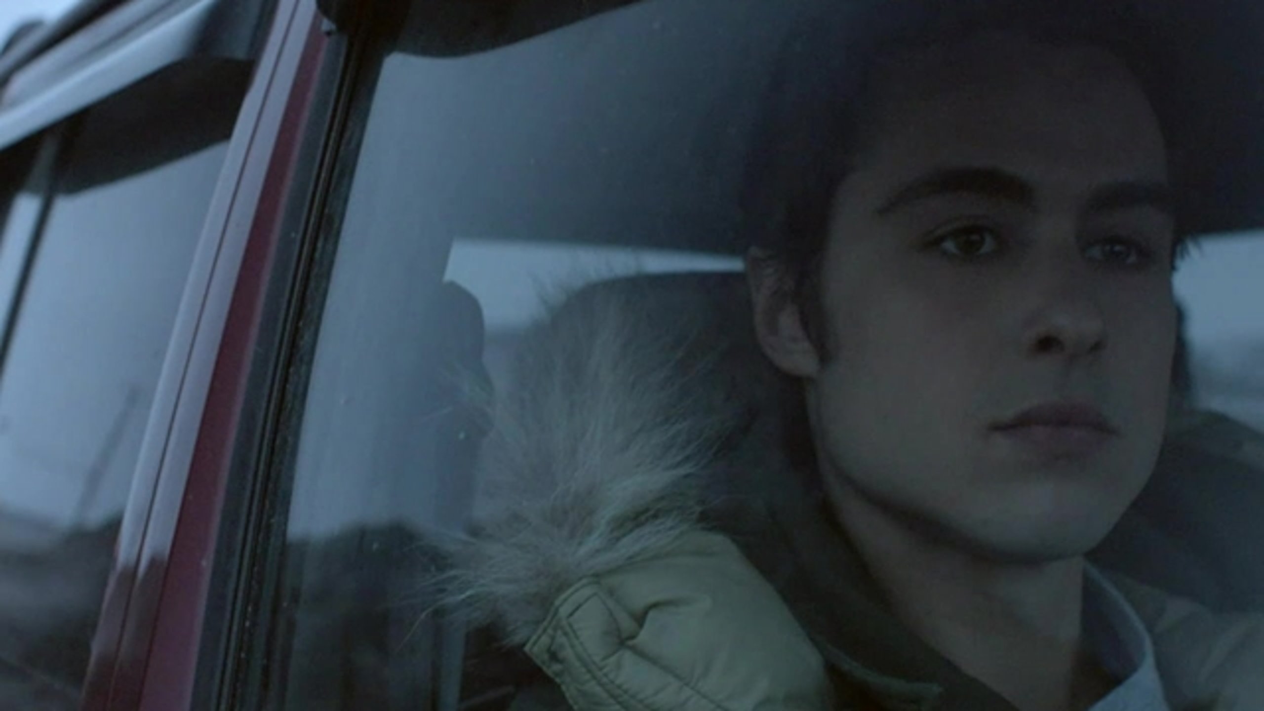 The Grizzlies - Thumbnail