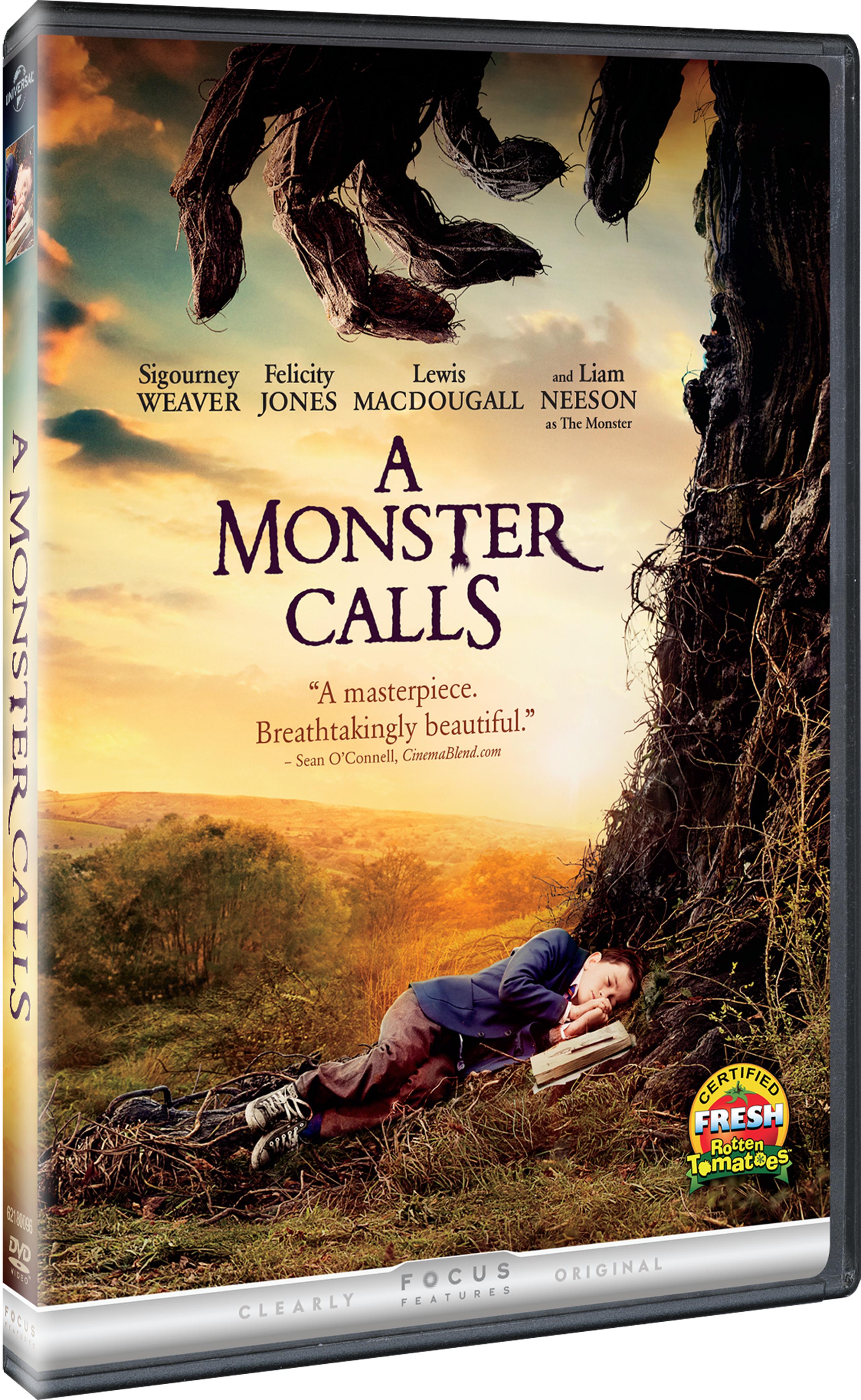 AMonsterCalls_DVD_3D_025192364693.png