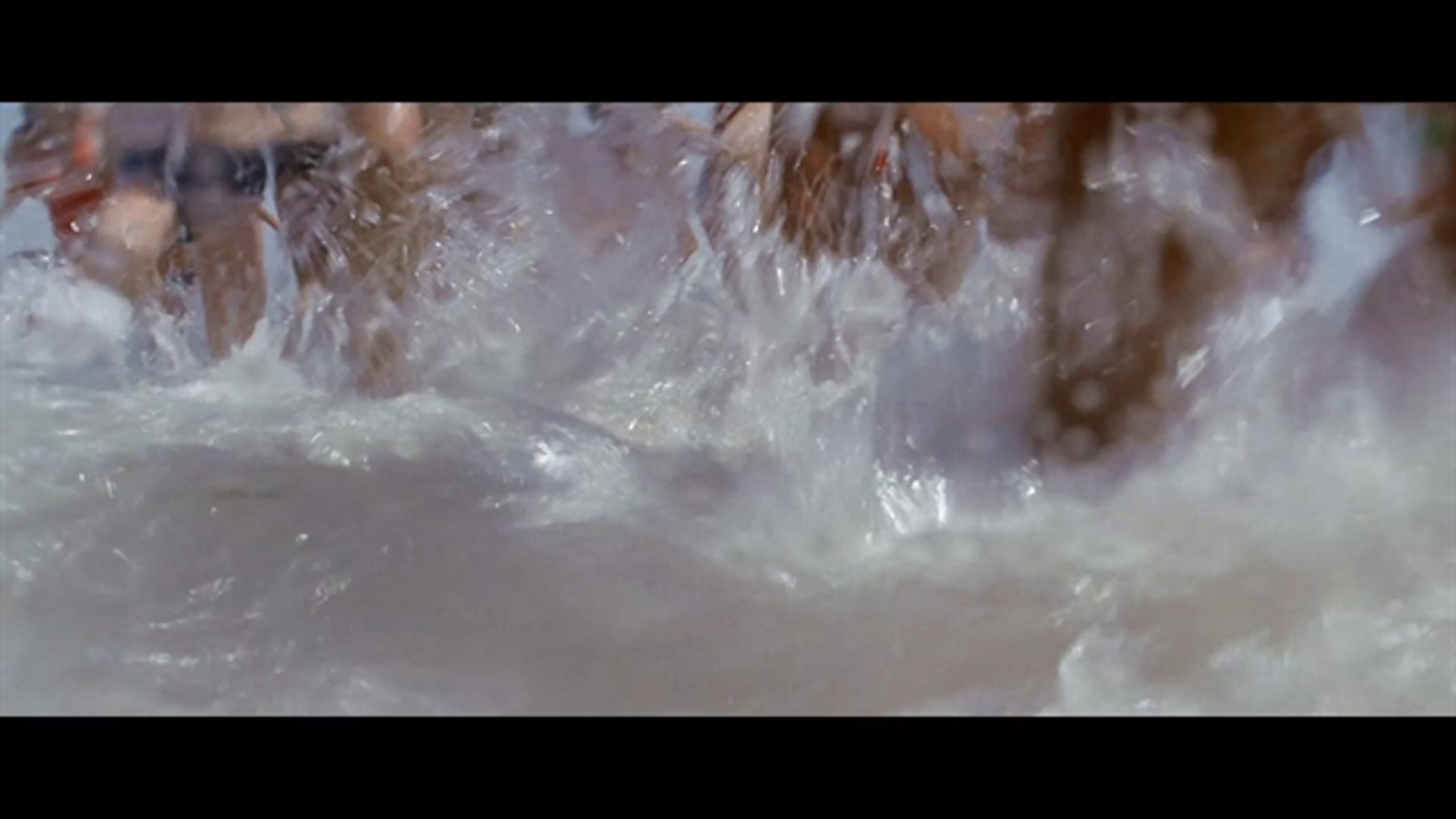 Jaws - Thumbnail