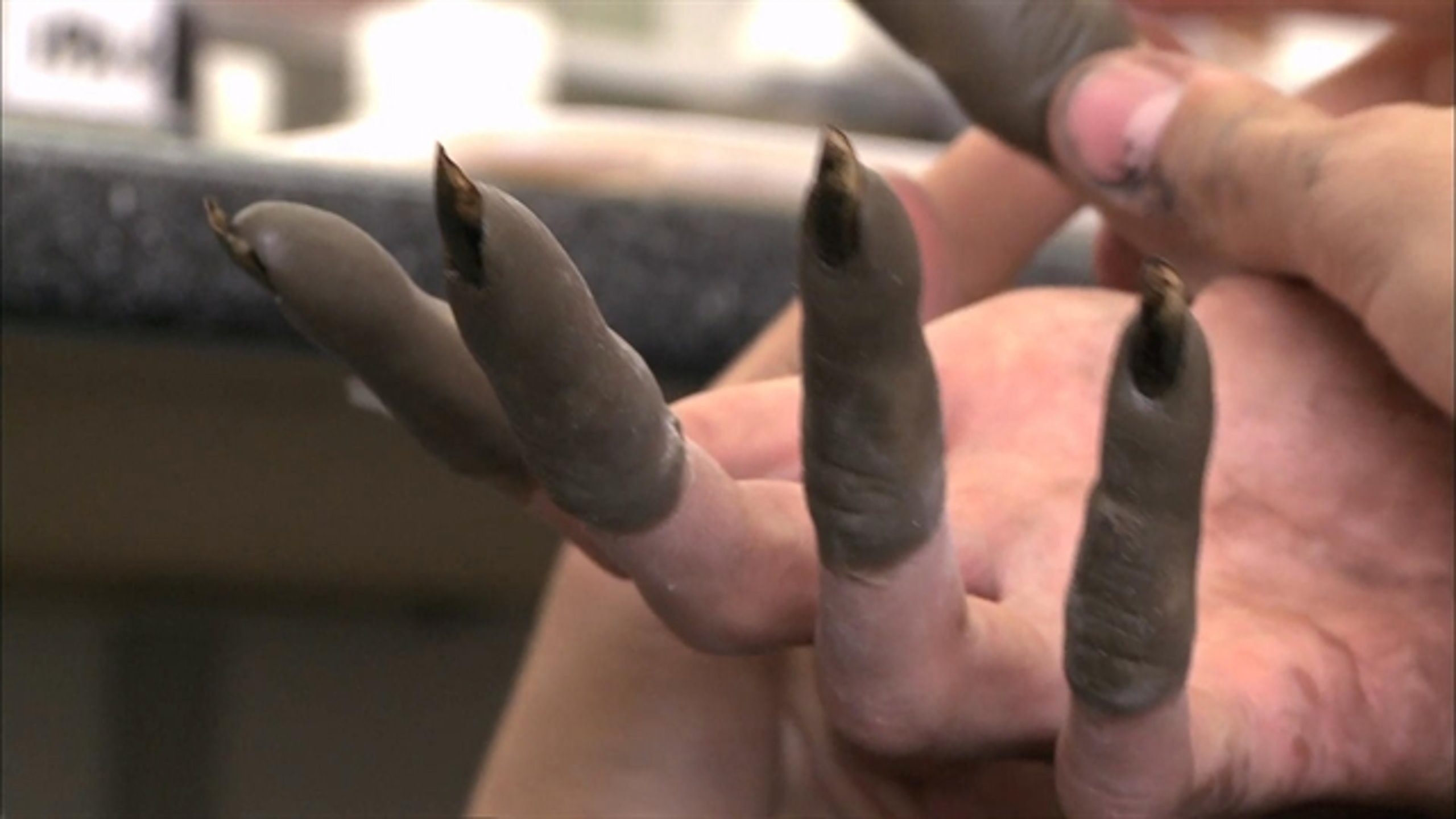 Mama - Thumbnail