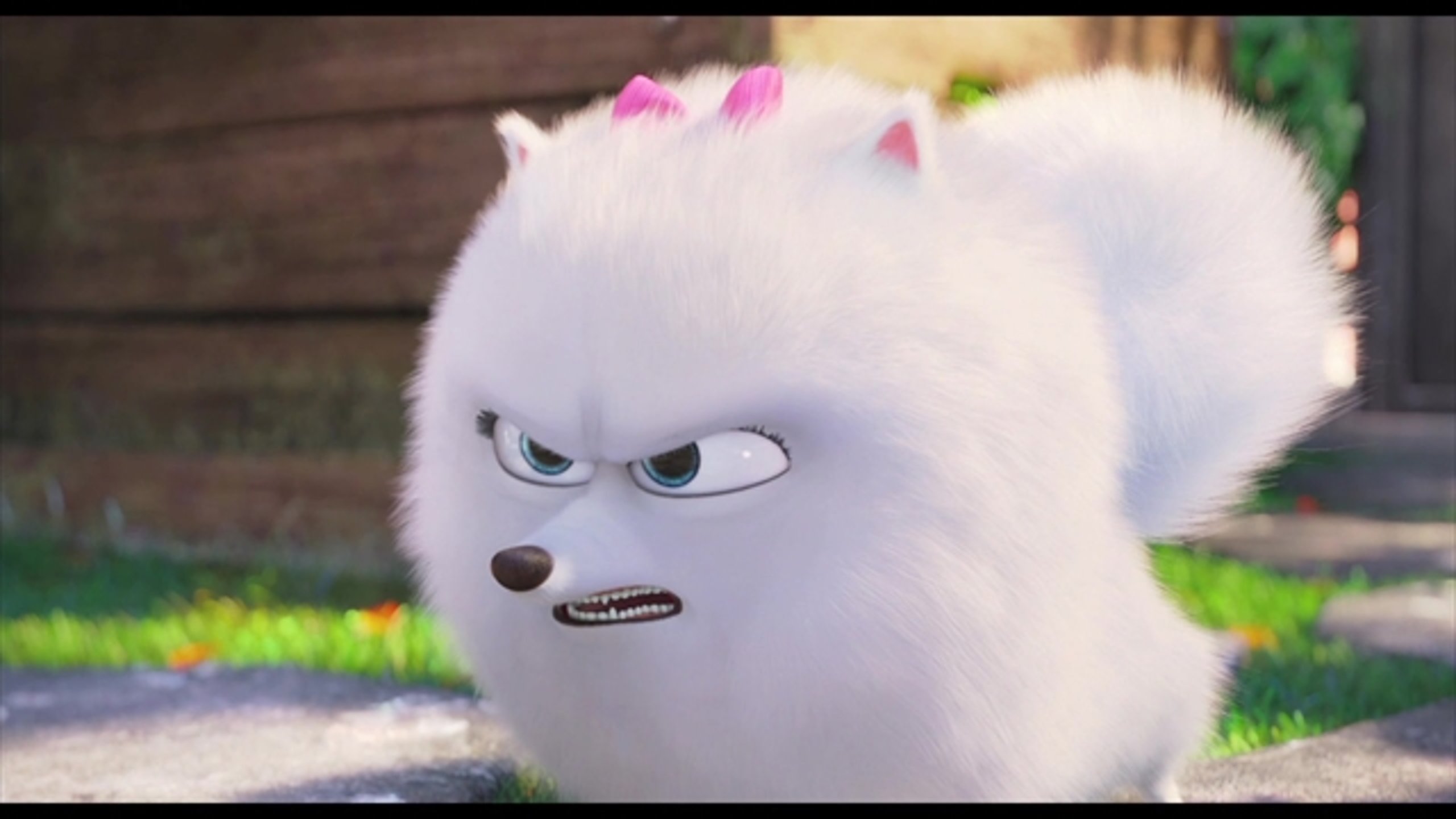 The Secret Life of Pets - Thumbnail