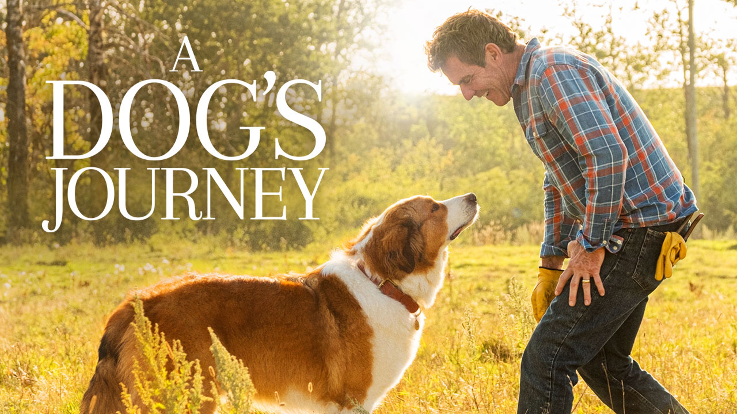 ADogsJourney_keyart_mobile_1280x720.jpg