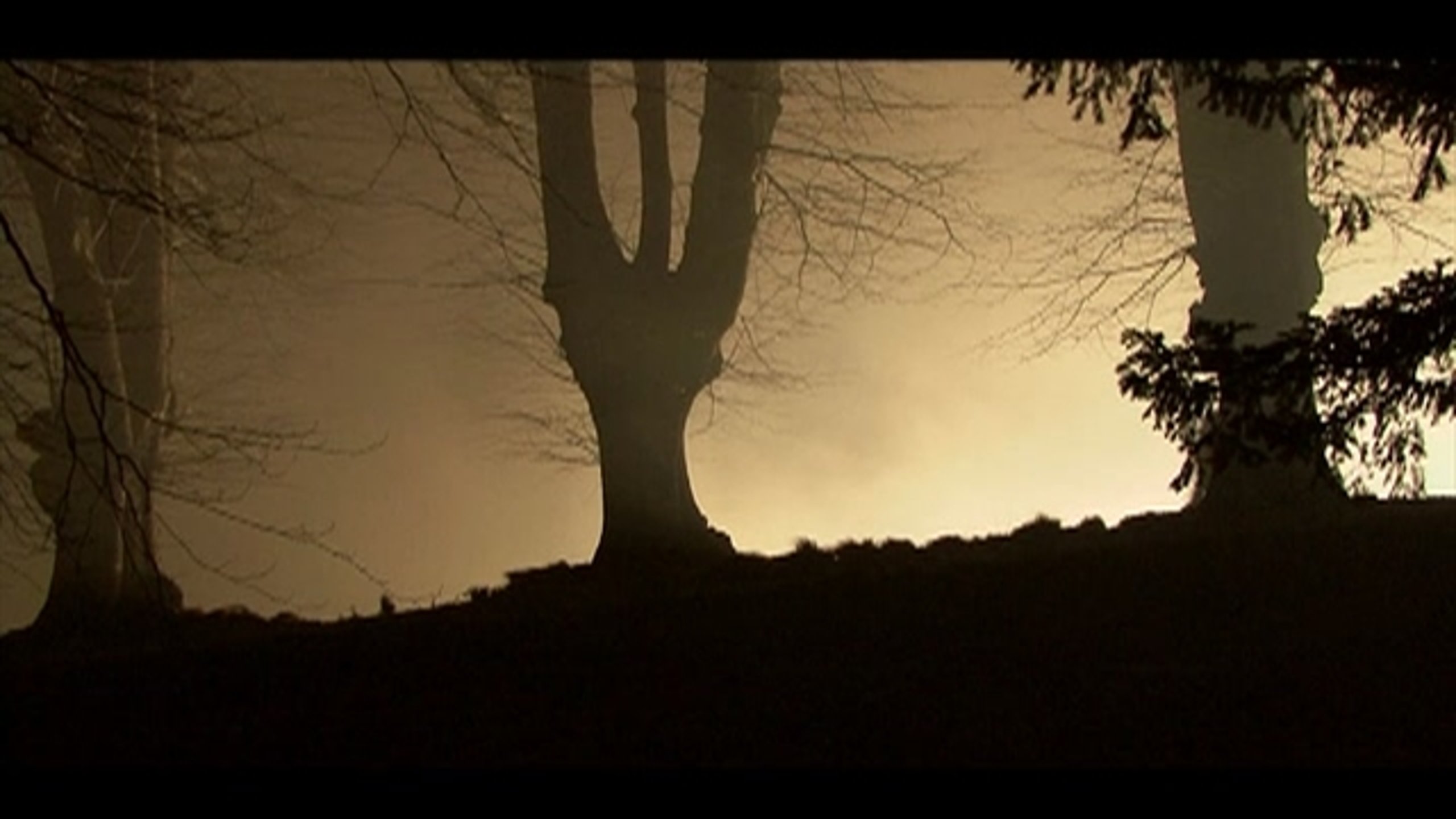 The Wolfman - Thumbnail