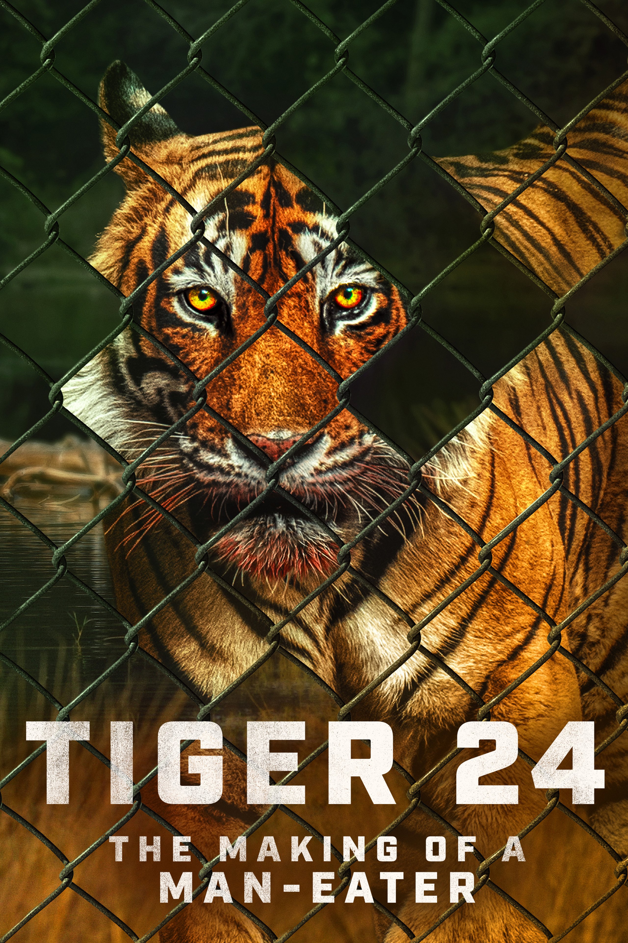 Tiger24_Poster_2000x3000_uaa.jpg