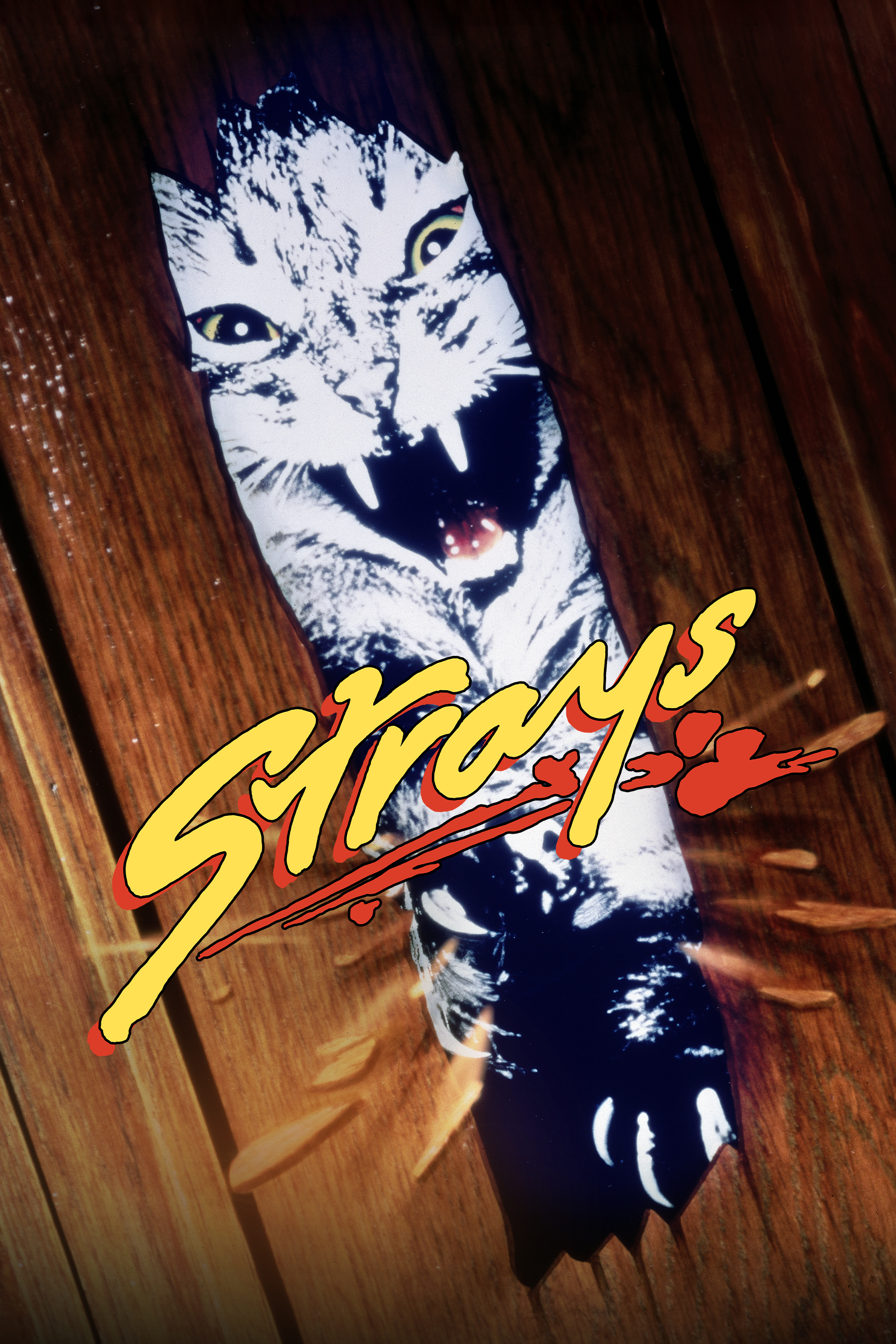 Strays (1991) | Universal Pictures At Home