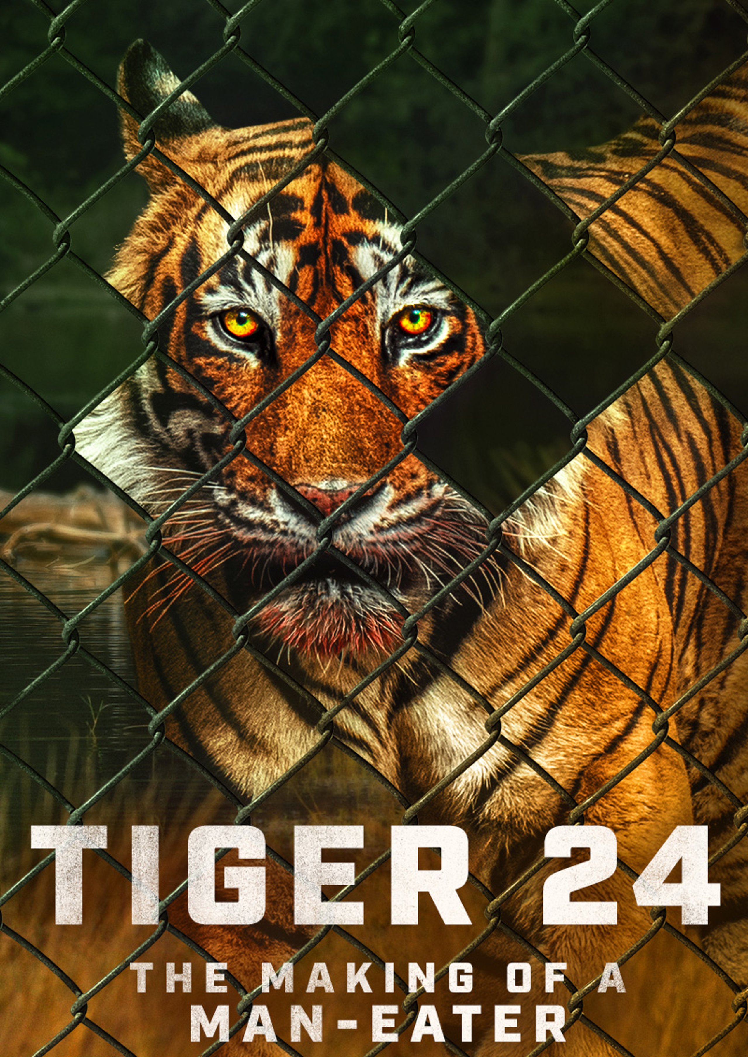 Tiger24_Poster.jpg