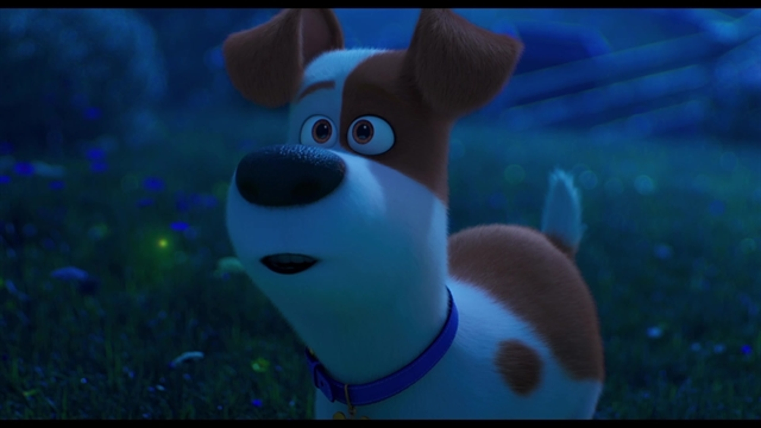 The Secret Life of Pets 2 - Thumbnail