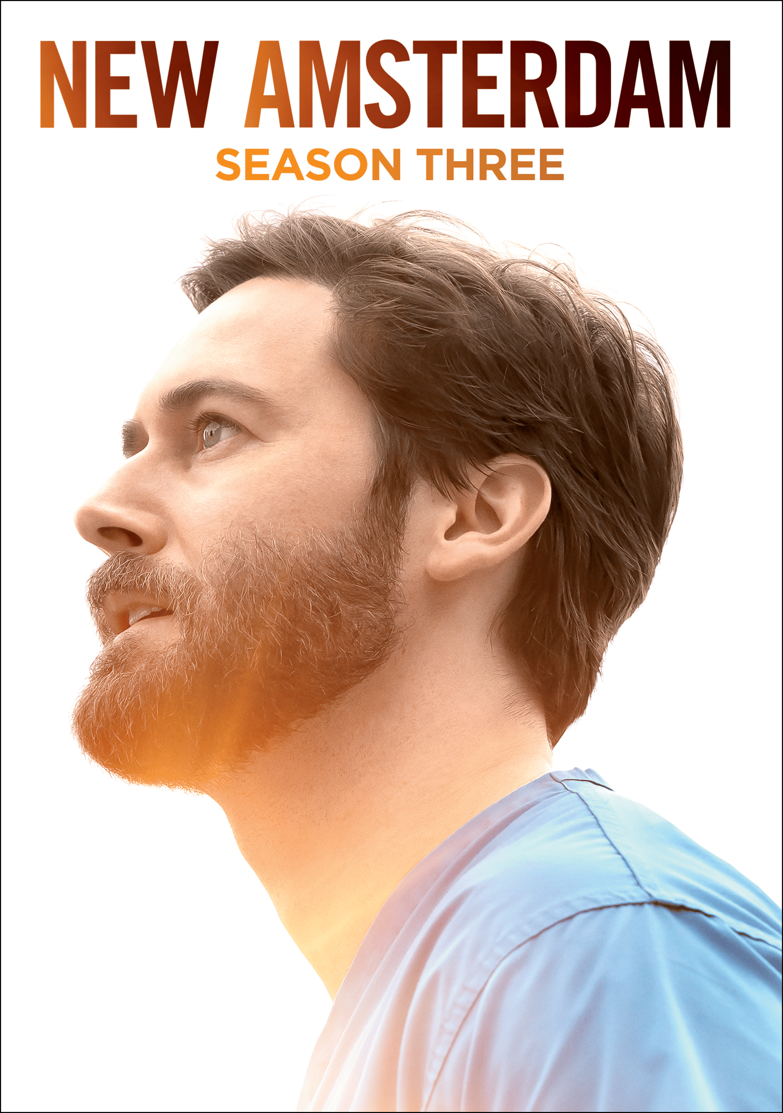 NewAmsterdam_DVD_PosterArt_810072546470.png